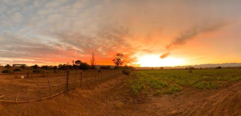 Апартаменти Pureplaas Self Catering Volmoed Oudtshoorn Klein Karoo Екстер'єр фото