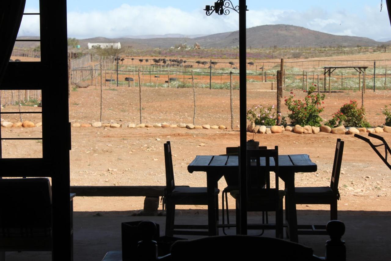 Апартаменти Pureplaas Self Catering Volmoed Oudtshoorn Klein Karoo Екстер'єр фото